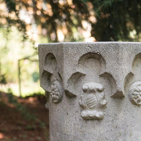 Villa Vittoria - The House Of Travelers 切尔诺比奥 外观 照片