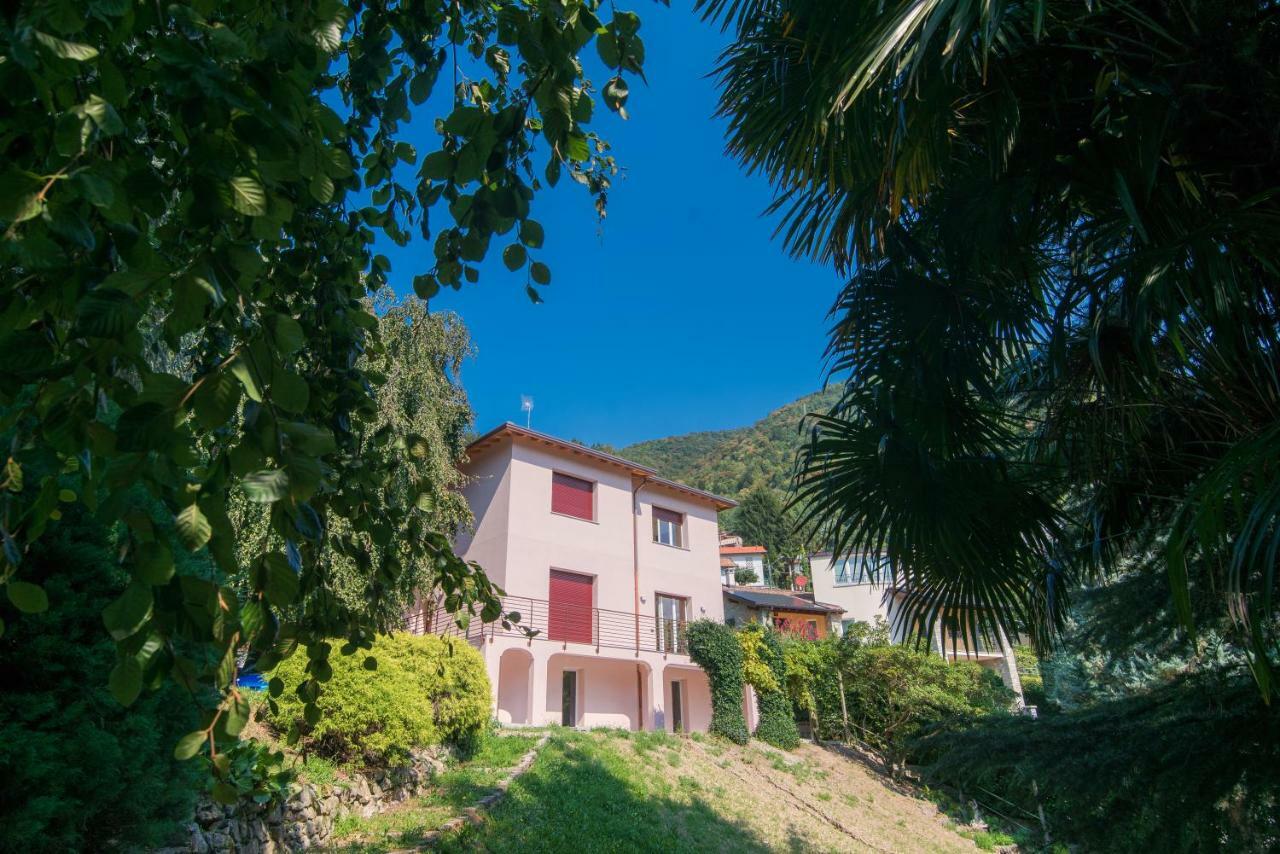 Villa Vittoria - The House Of Travelers 切尔诺比奥 外观 照片