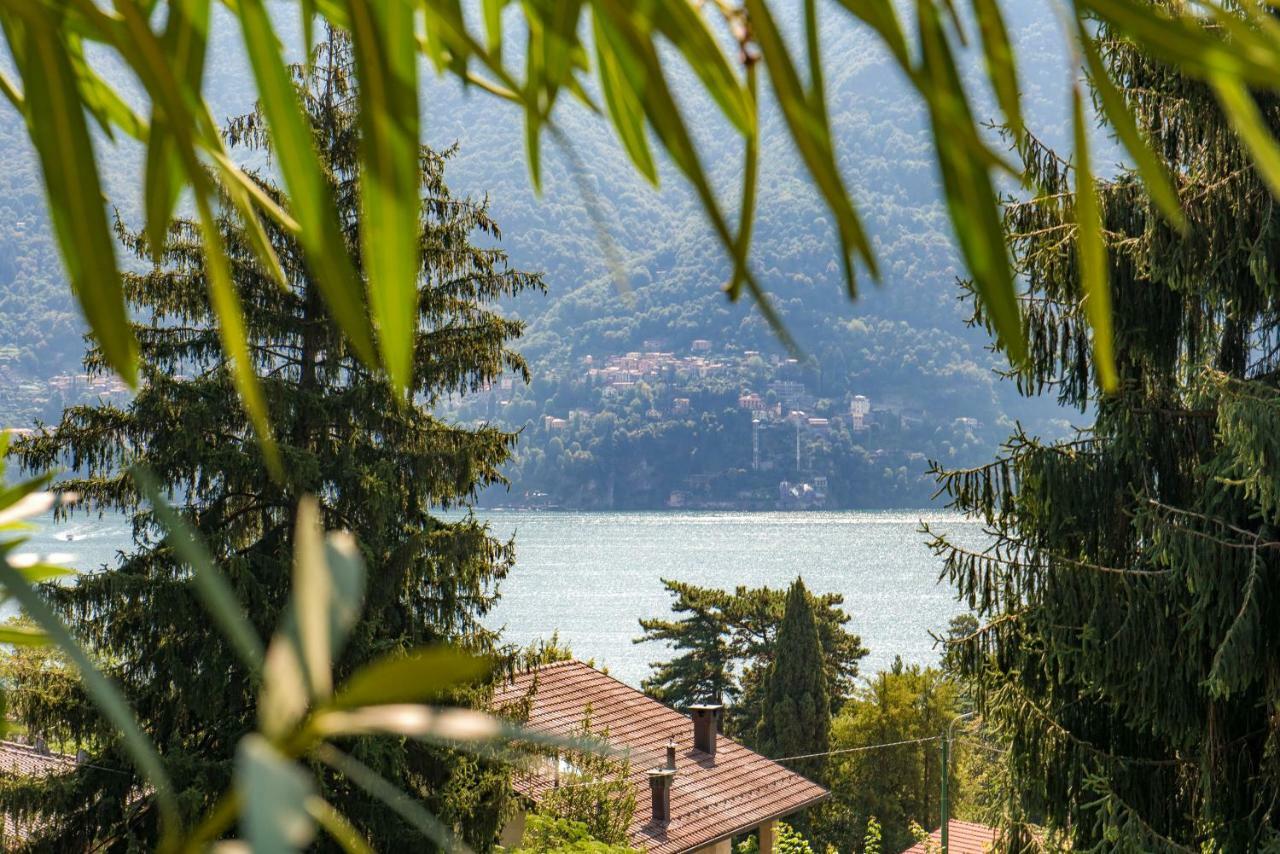 Villa Vittoria - The House Of Travelers 切尔诺比奥 外观 照片